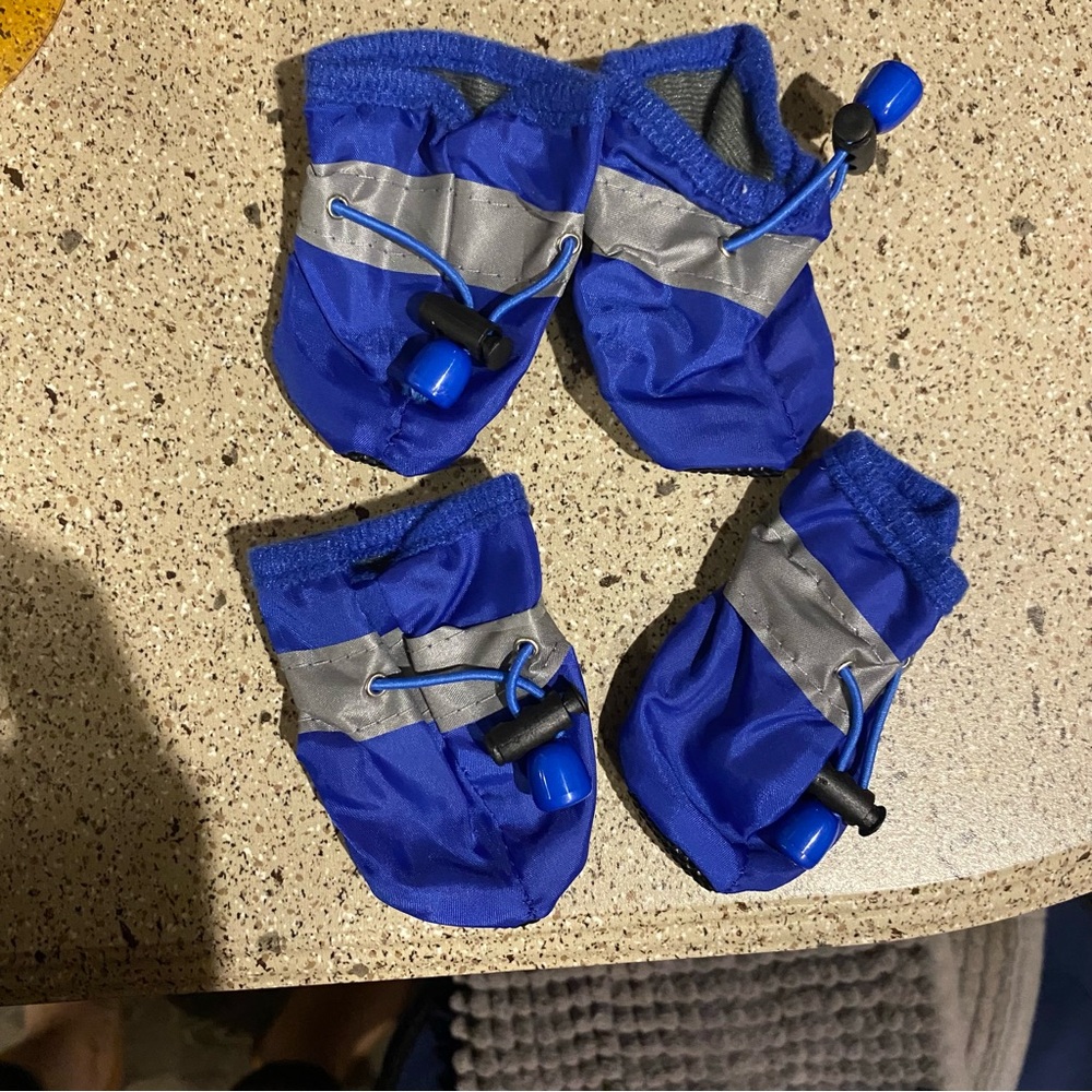 Blue and Gray Dog Booties